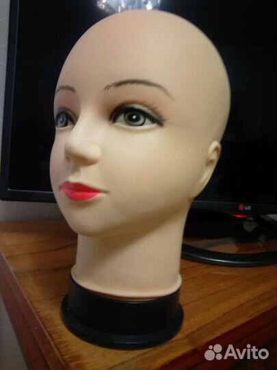 Учебная голова