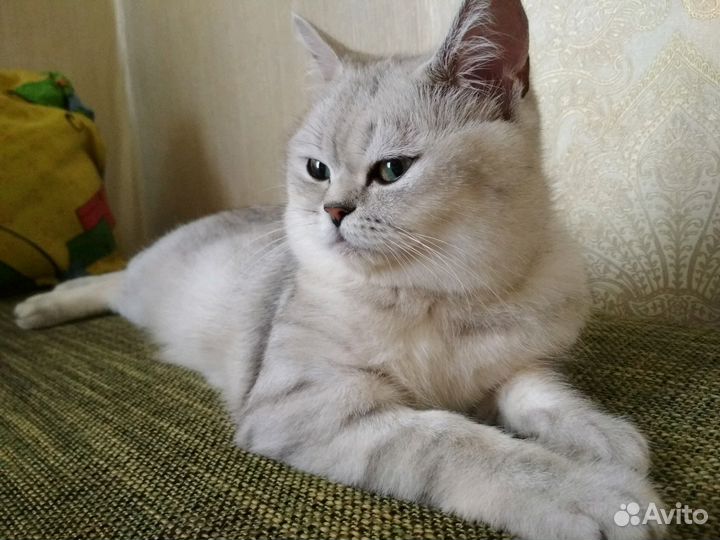 Приглашаем на вязку