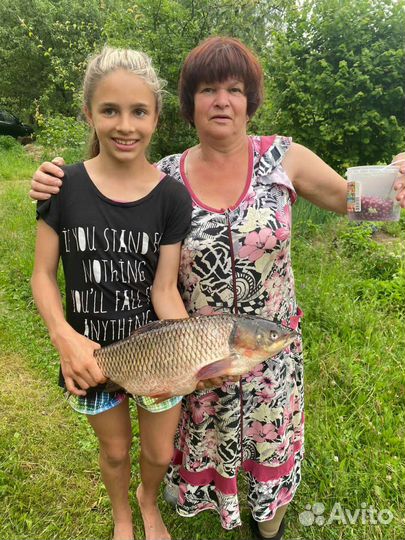 Охота и рыбалка