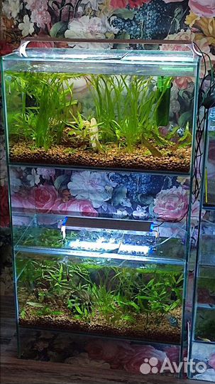 Аквариум 70л