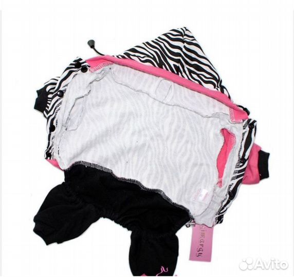 Одежда для собак