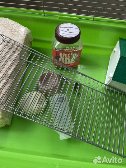 Клетка для грызунов