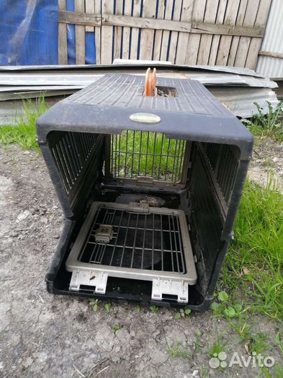 Собачья будка