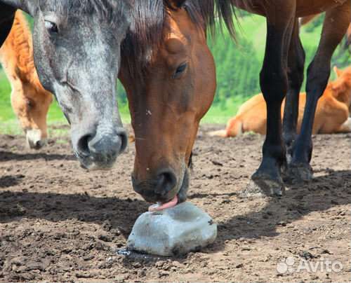 Соль камень