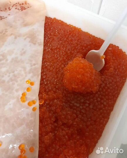Икра красная Горбуши Нерки Кеты Форели куб оптом