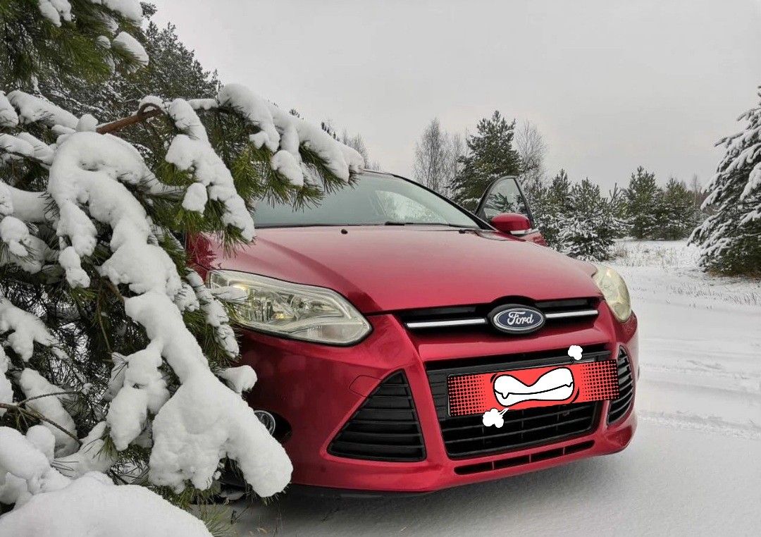 Ford Focus: фото владельца