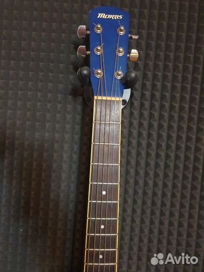 Акустическая гитара. Morris, массив