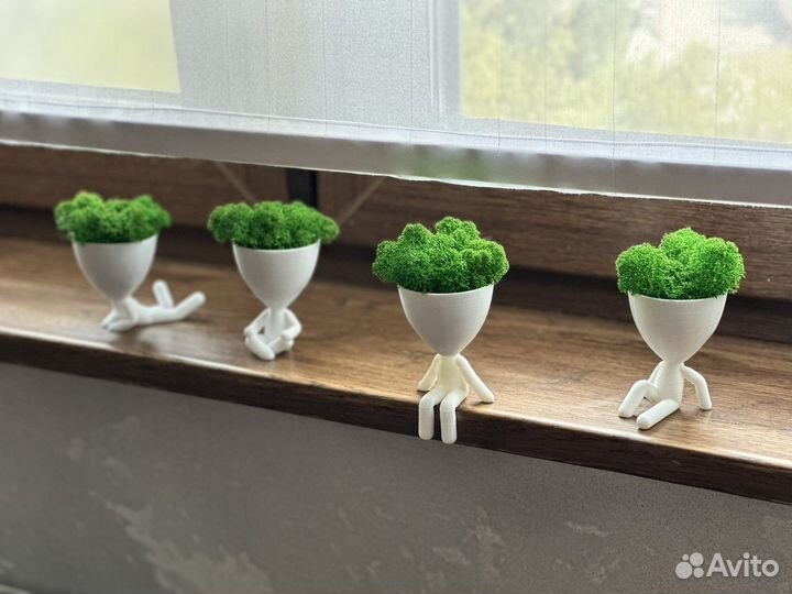 Стабилированный мох