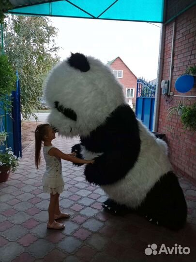 Аниматор,полярный мишка,белый,бурый мишка,зайка