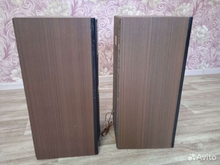 Колонки вега 50ас 106