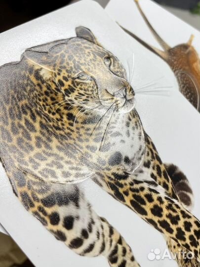 Тактильные карточки Монтессори