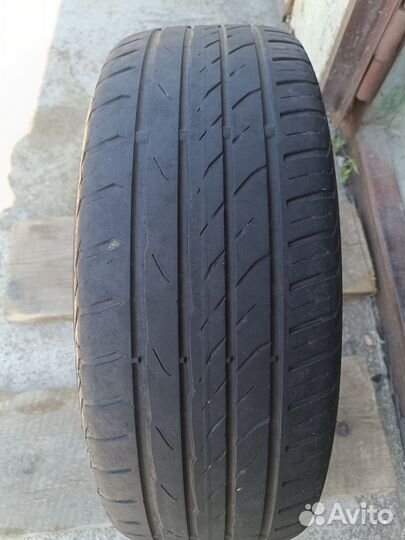 Matador MP 47 Hectorra 3 195/55 R16 91H