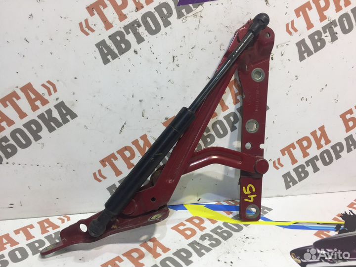 Форд Фокус Петля багажника правая Прав