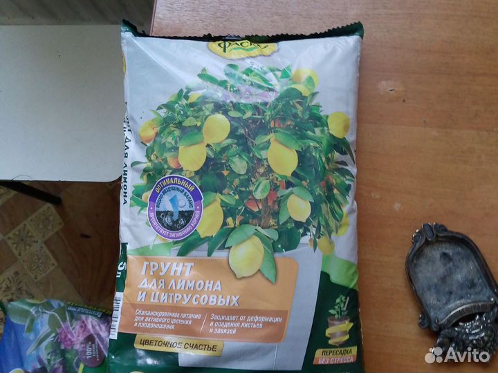 Грунт для лимона и цитрусовых