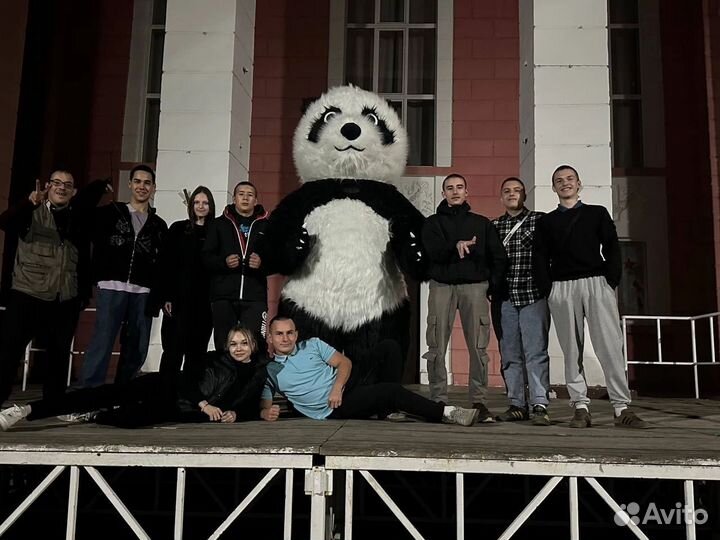 Панда поо Услуги аниматора