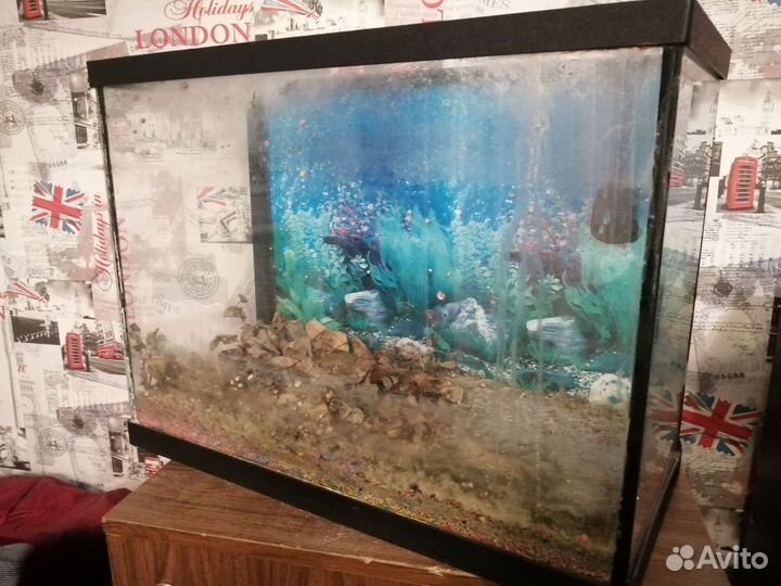Аквариум