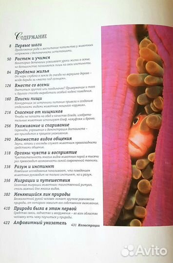 Секреты природы. Удивительный мир