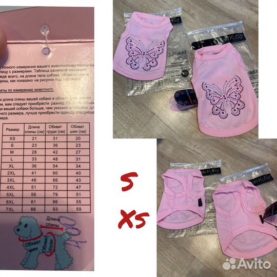 Одежда для собак