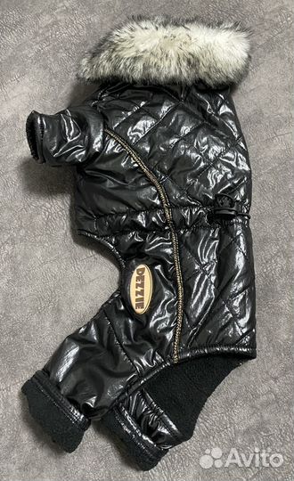 Одежда для собак