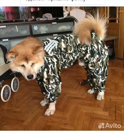 Дождевик (комбинезон) для большой собаки