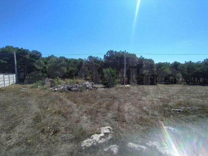 Участок 4,3 сот. (СНТ, ДНП)