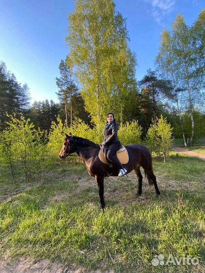 Конные прогулки