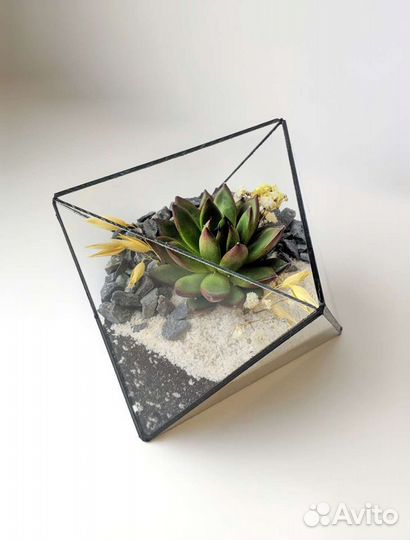 Флорариум с суккулентами