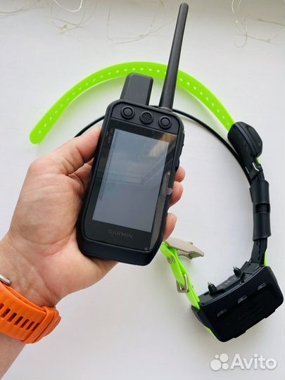 Набор для собак Garmin Alpha 200 + TT15x