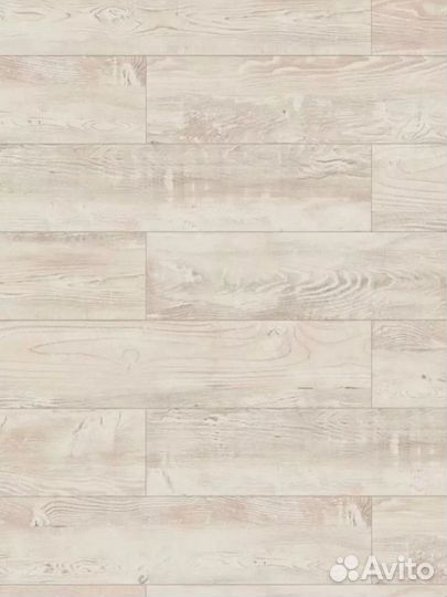 Ламинат Сосна касцина 33кл 8мм с фаской