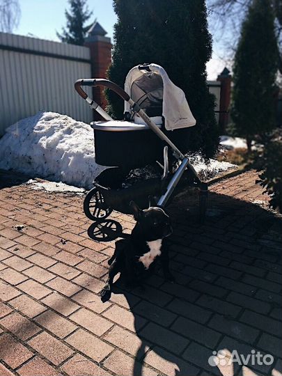 Коляска uppa baby vista 2 in 1