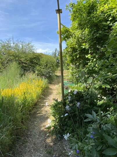 Дом 40 м² на участке 6 сот.