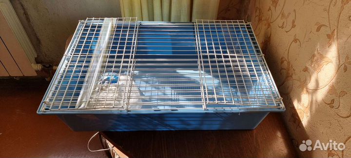 Клетка для грызунов ferplast