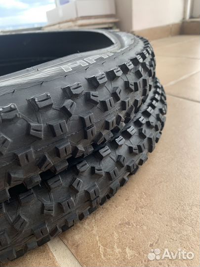 Покрышки schwalbe hans dampf 26x2.35 (60-559)