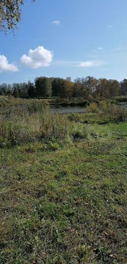 Участок 10 сот. (СНТ, ДНП)