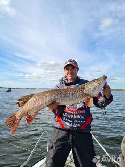 Рыбалка с Гидом на Волге