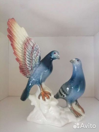 Почтовые голуби Германия