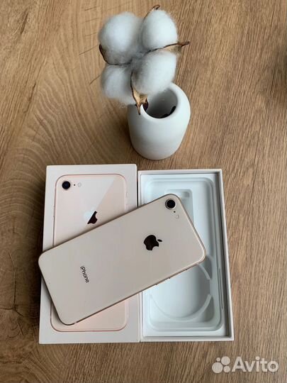 iPhone 8, 256 ГБ