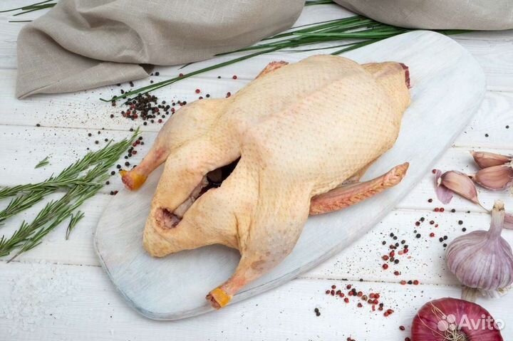 Утка домашняя мясо