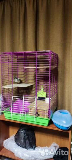 Клетка для шиншиллы и Дэгу