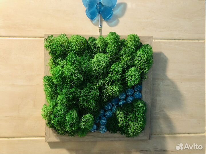 Пано из живого мха стабилизированного