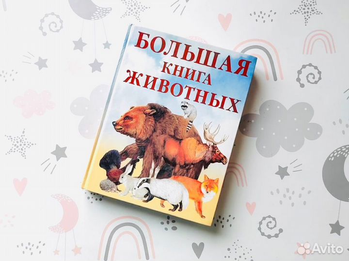 Детские книги. Большая книга животных
