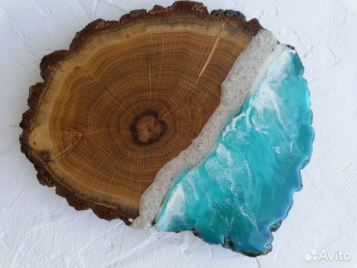 Спилы дуба 2 штуки