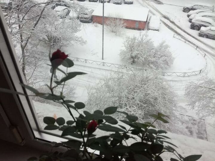 Участок 20 сот. (ИЖС)