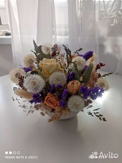 Одуванчики