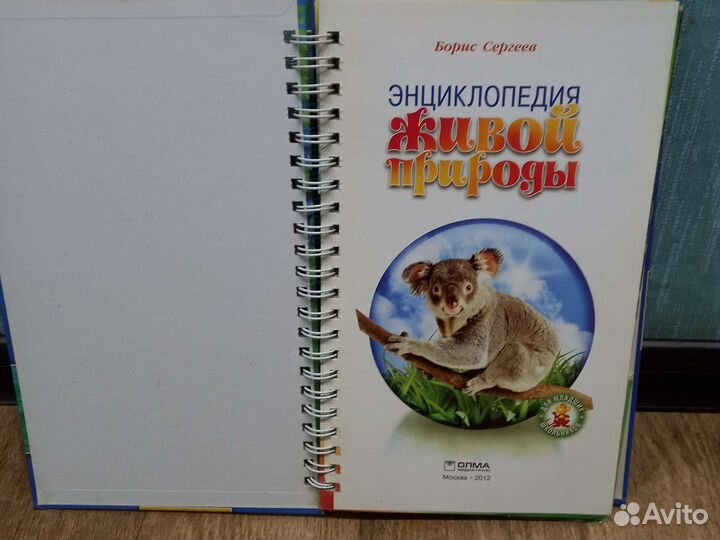 Детские энциклопедии