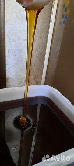 Горный мёд 2023