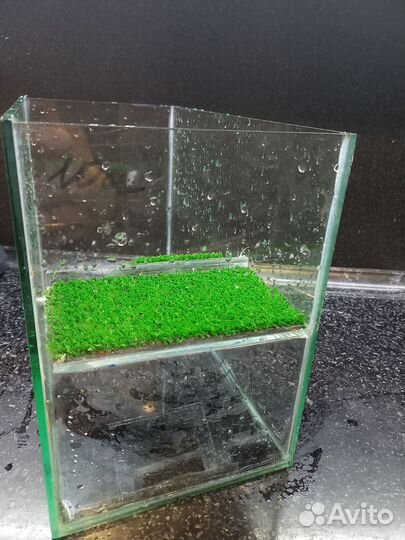 Террариум для черепахи