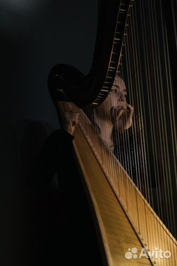 Уроки игры на арфе, репетитор по арфе