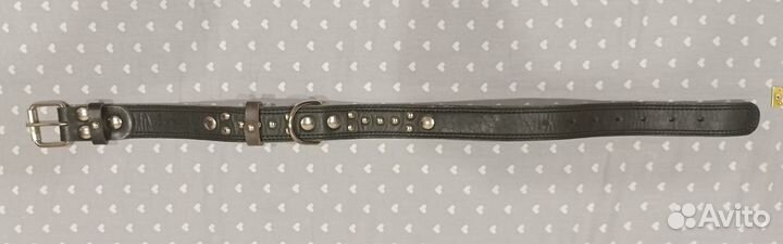 Ошейники для собак