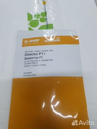 Семена Огурец Директор 500с Нунемс